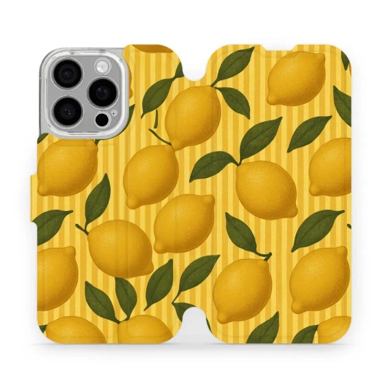 Etui do Apple iPhone 16 Pro - wzór VP81S