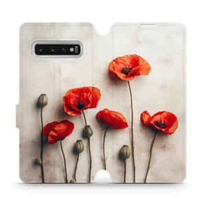 Etui do Samsung Galaxy S10 - wzór VP42S